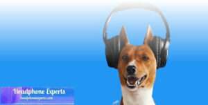 Best-Headphones-for-Dogs